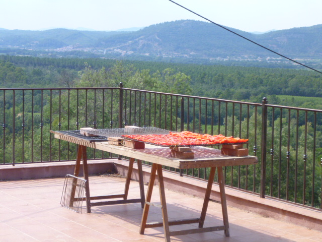 Tomates séchées au soleil et au vent Chambre d'hote La Maison de Nathalie Location de vacances var Provence Cote d'Azur jardin potager bio