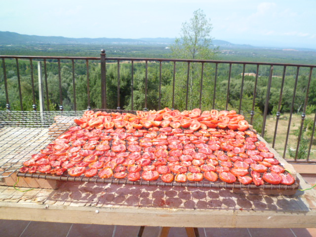 Tomates séchées au soleil et au vent Chambre d'hote La Maison de Nathalie Location de vacances var Provence Cote d'Azur jardin potager bio